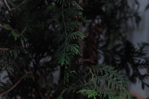 DSCF3178.JPG