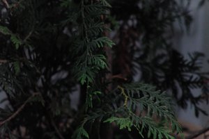 DSCF3179.JPG