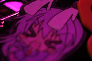 DSCF3198.JPG