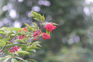 DSCF3269.JPG