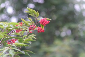DSCF3271.JPG