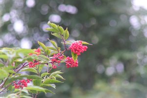 DSCF3276.JPG