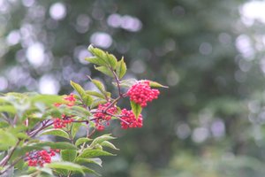 DSCF3277.JPG