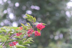 DSCF3281.JPG