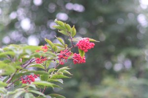 DSCF3283.JPG