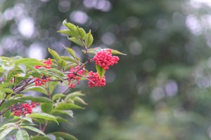 DSCF3288.JPG