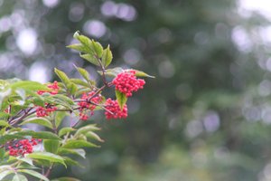 DSCF3290.JPG