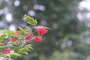 DSCF3291.JPG