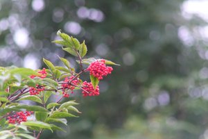 DSCF3292.JPG