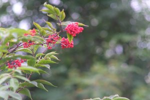 DSCF3298.JPG