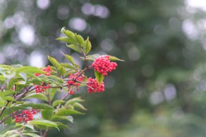 DSCF3301.JPG