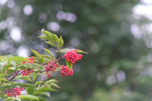 DSCF3306.JPG