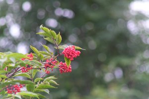 DSCF3308.JPG