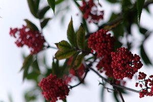 DSCF3324.JPG