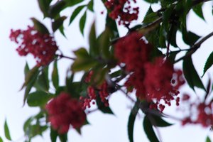 DSCF3328.JPG