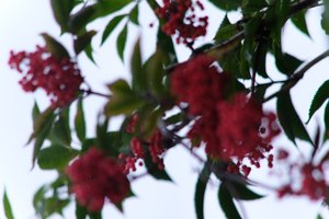 DSCF3329.JPG