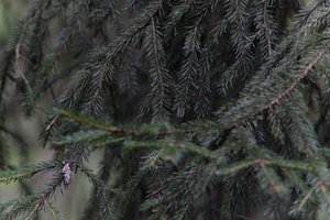 DSCF3368.JPG