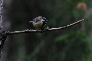 DSCF3373.JPG