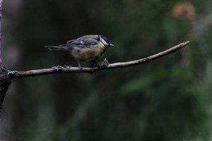 DSCF3374.JPG