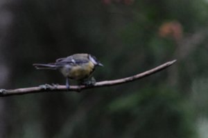 DSCF3378.JPG