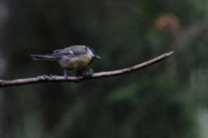 DSCF3379.JPG
