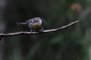 DSCF3382.JPG