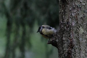 DSCF3386.JPG