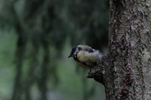 DSCF3388.JPG