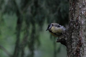 DSCF3391.JPG