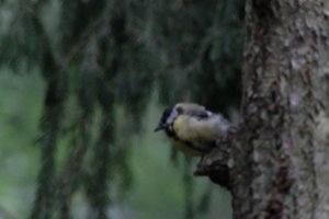 DSCF3394.JPG