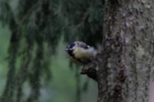DSCF3396.JPG