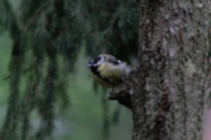 DSCF3397.JPG