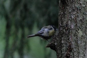 DSCF3398.JPG
