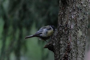 DSCF3399.JPG