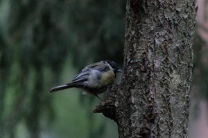 DSCF3400.JPG