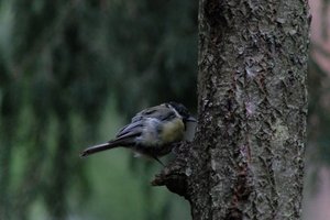DSCF3401.JPG