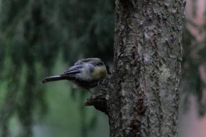 DSCF3405.JPG