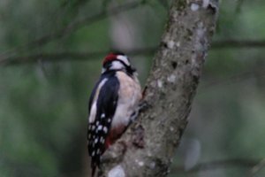 DSCF3408.JPG