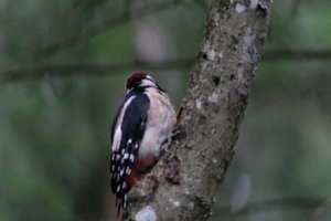 DSCF3410.JPG