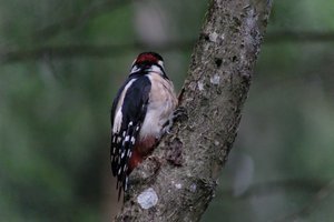 DSCF3413.JPG