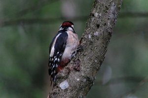 DSCF3414.JPG