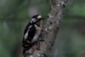 DSCF3416.JPG