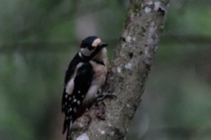 DSCF3420.JPG
