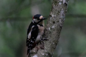 DSCF3421.JPG