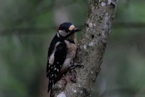 DSCF3422.JPG