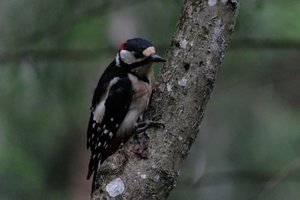 DSCF3427.JPG