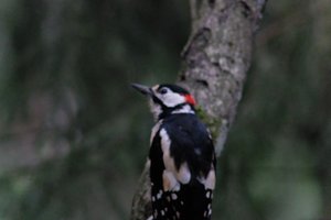 DSCF3428.JPG