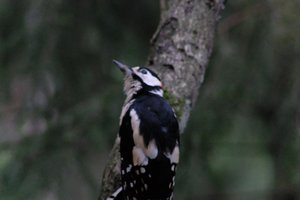 DSCF3431.JPG