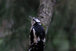 DSCF3432.JPG