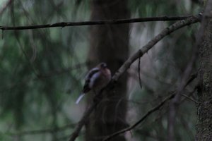 DSCF3456.JPG